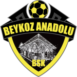 Beykoz Anadolu